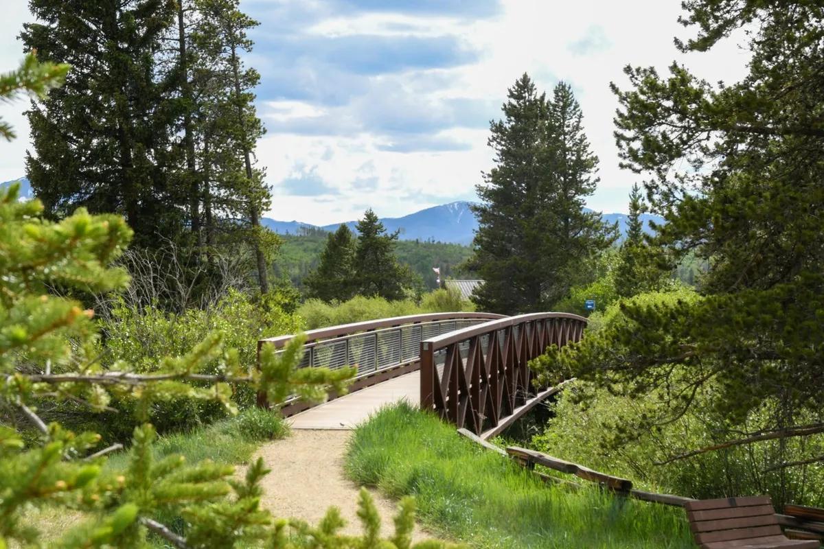 A serene wooden bridge leads through lush greenery, with a panoramic mountain range rising in the background. This picture-perfect scene evokes opportunities for hiking, nature observation, and exploring the great outdoors.